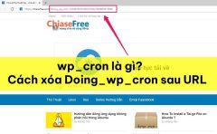 Wp_cron là gì? Làm sao để xóa ?doing_wp_cron sau url web