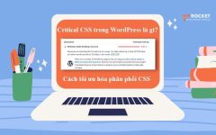 Critical CSS trong WordPress: Nó là gì và cách tối ưu hóa phân phối CSS